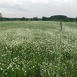 Lodge W Zielonym Spichlerzu, Puszcza Bialowieska *