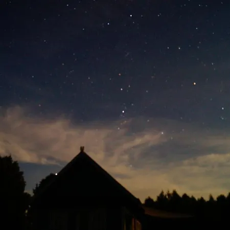 W Zielonym Spichlerzu, Puszcza Bialowieska