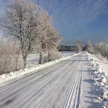 W Zielonym Spichlerzu, Puszcza Bialowieska 롯지 Czechy Orlanskie