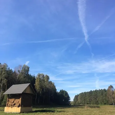 Jaktstuga W Zielonym Spichlerzu, Puszcza Bialowieska