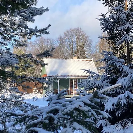 W Zielonym Spichlerzu, Puszcza Bialowieska Czechy Orlanskie