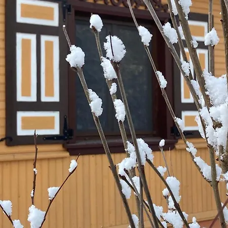 W Zielonym Spichlerzu, Puszcza Bialowieska *