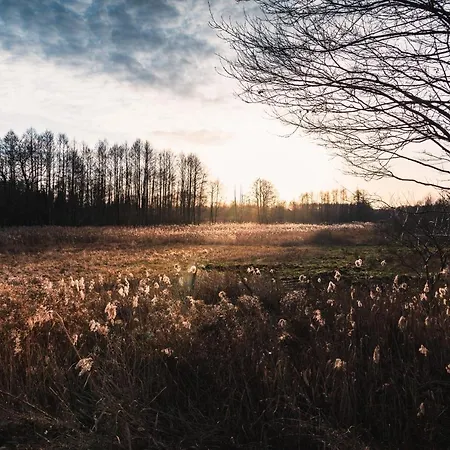 W Zielonym Spichlerzu, Puszcza Bialowieska 롯지 *