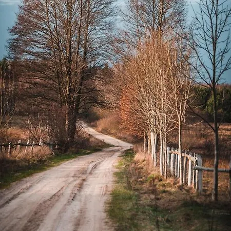 بيت خشبي W Zielonym Spichlerzu, Puszcza Bialowieska Czechy Orlanskie