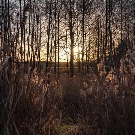 W Zielonym Spichlerzu, Puszcza Bialowieska 롯지