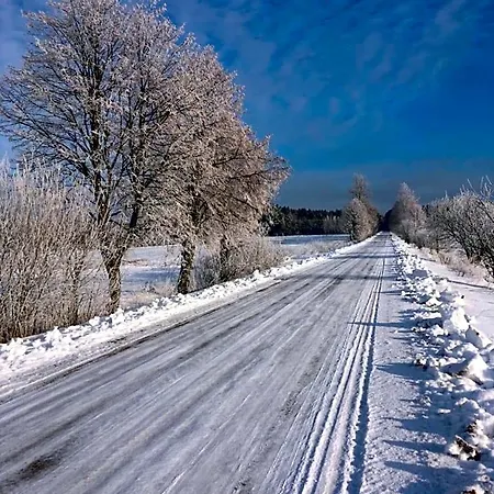 بيت خشبي W Zielonym Spichlerzu, Puszcza Bialowieska *