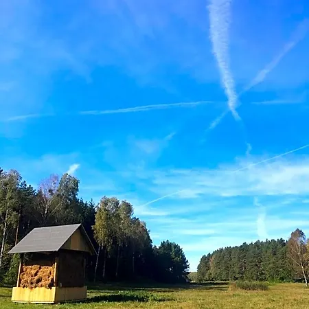 W Zielonym Spichlerzu, Puszcza Bialowieska بيت خشبي Czechy Orlanskie