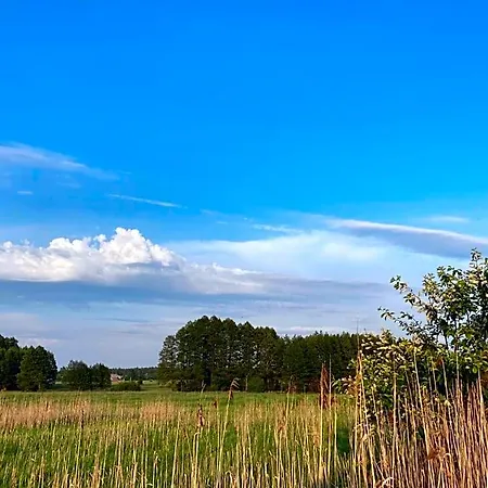 W Zielonym Spichlerzu, Puszcza Bialowieska *