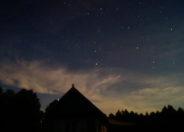 W Zielonym Spichlerzu, Puszcza Bialowieska