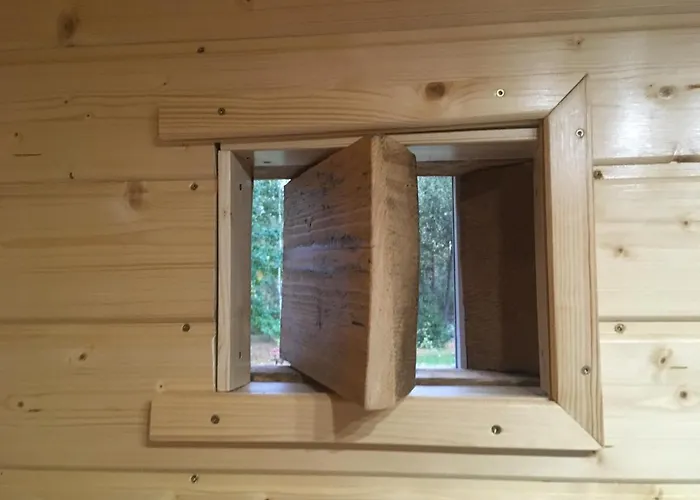 W Zielonym Spichlerzu, Puszcza Bialowieska *