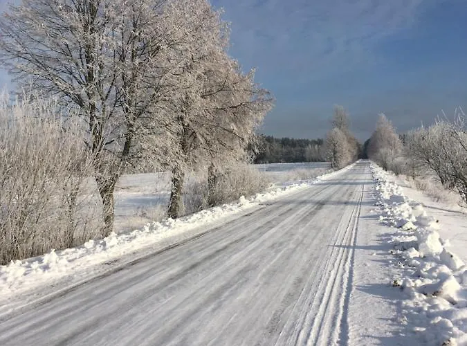W Zielonym Spichlerzu, Puszcza Bialowieska Lodge Czechy Orlanskie