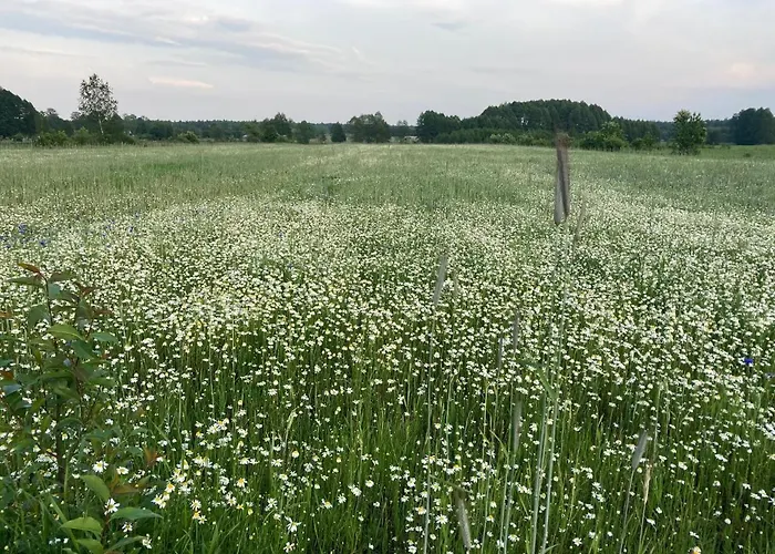 Lodge W Zielonym Spichlerzu, Puszcza Bialowieska *