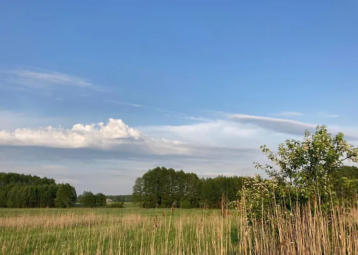 W Zielonym Spichlerzu, Puszcza Bialowieska