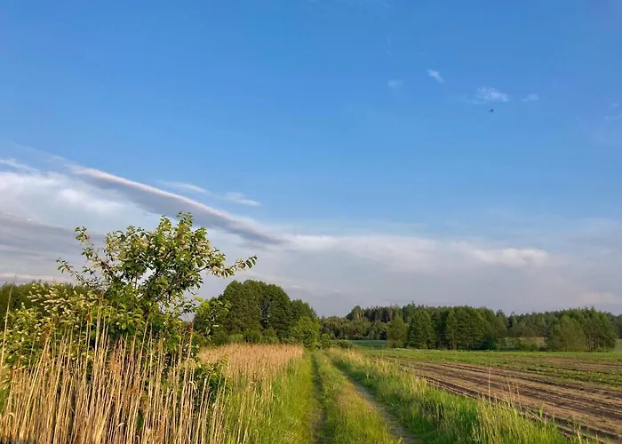 山林小屋 W Zielonym Spichlerzu, Puszcza Bialowieska Czechy Orlanskie