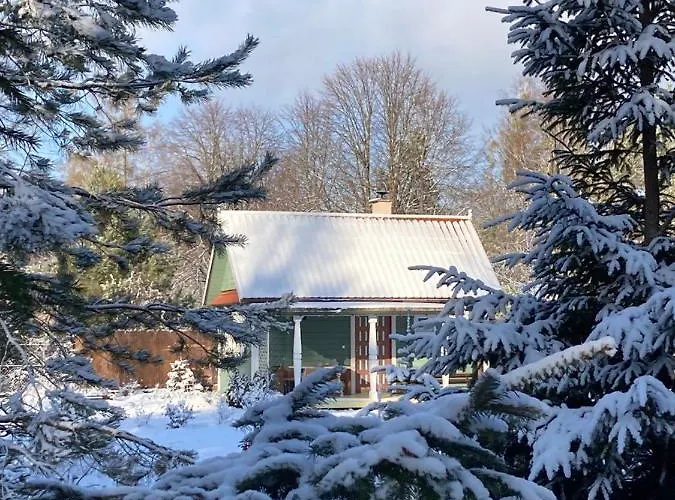 W Zielonym Spichlerzu, Puszcza Bialowieska Czechy Orlanskie