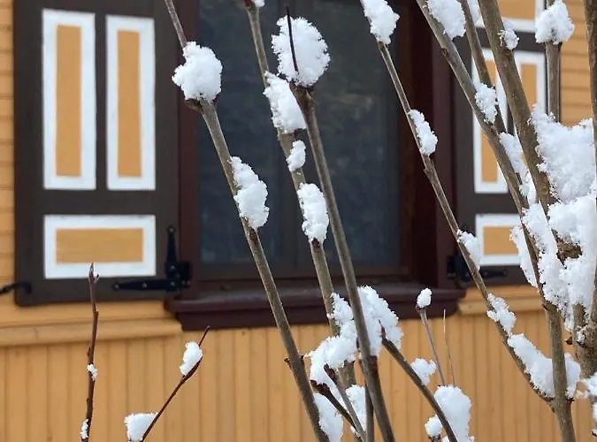 W Zielonym Spichlerzu, Puszcza Bialowieska *