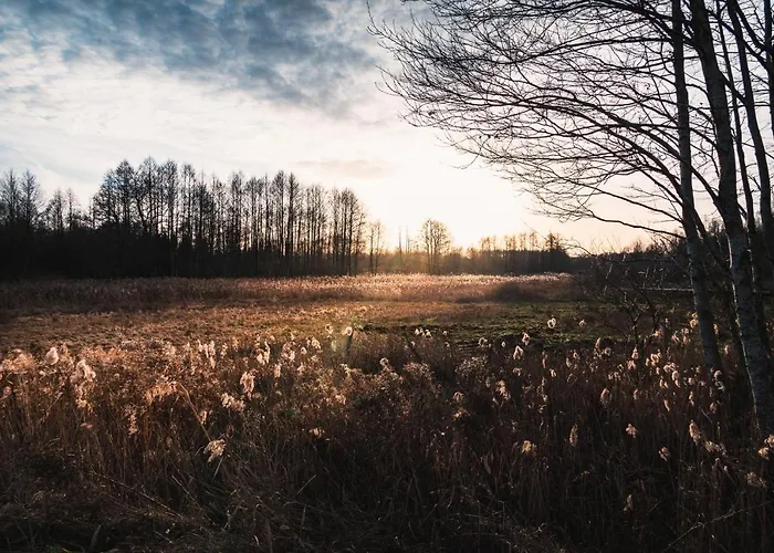 W Zielonym Spichlerzu, Puszcza Bialowieska Lodge *