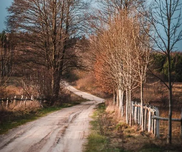 Lodge W Zielonym Spichlerzu, Puszcza Bialowieska Czechy Orlanskie